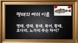 명태 생태 동태 황태 북어 노가리 코다리 차이